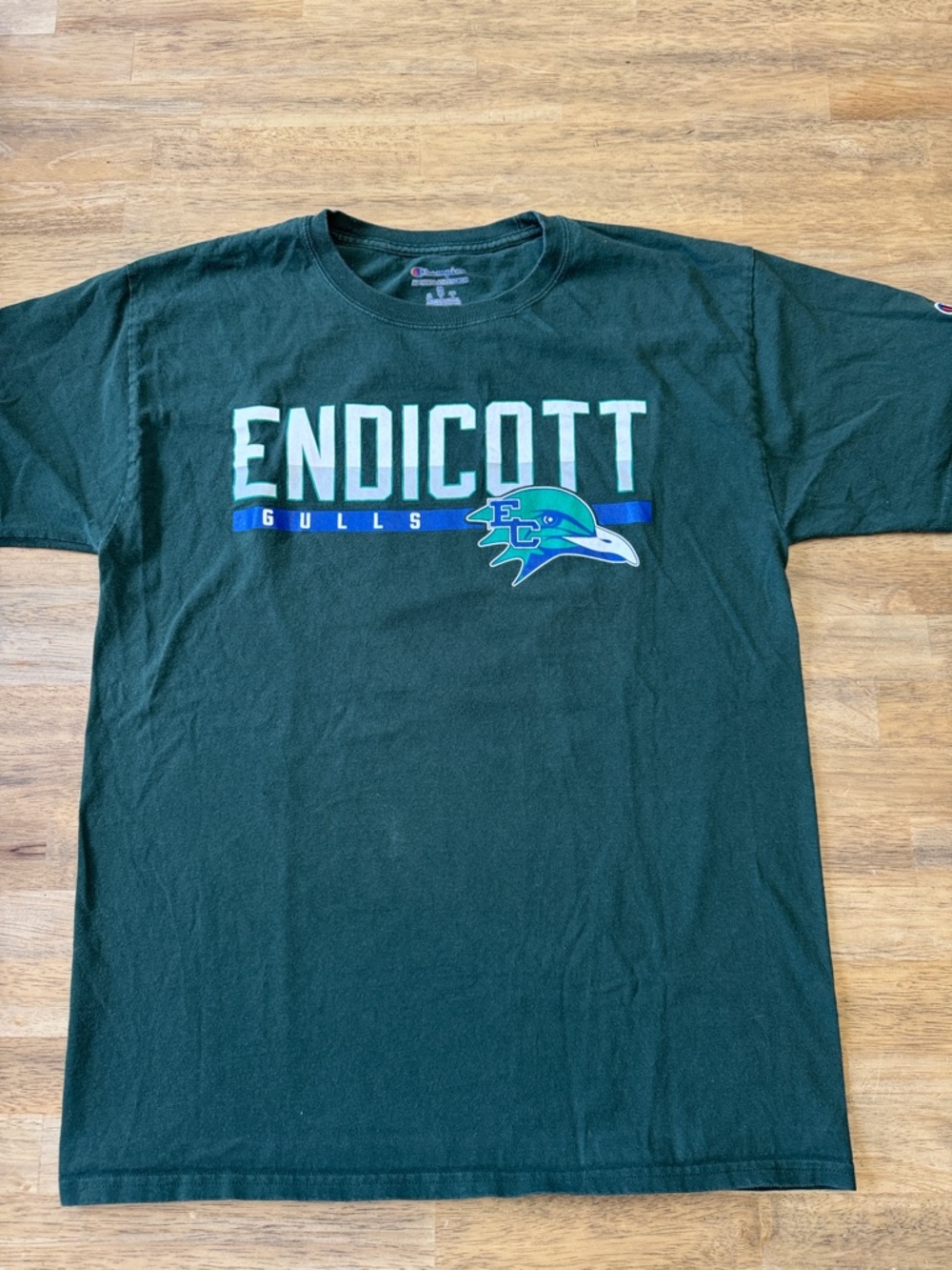 Champion Endicott College Gulls Tee - Dark Green with Blue & White Graphic